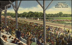 Grandstand Showing Crowd, Pimlico Race Track Baltimore, MD Postcard Postcard