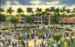 The Paddock, Gulfstream Race Track Postcard