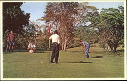The 6Th Green At Upton Country Club Postcard