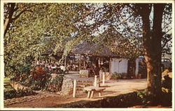 The Nineteenth Hole Upton Country Club Jamaica Postcard Postcard