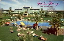 Fabulous Flamingo Postcard