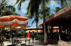 Dining Terrace St. John, Virgin Islands Caribbean Islands Postcard Postcard