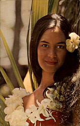 Fly The Friendly Skies Of United Postcard