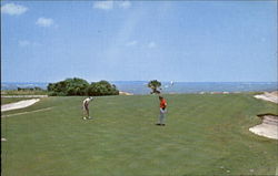 Port Royal Plantation Golf Club Postcard