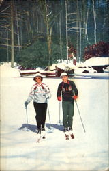 Skiing Is The Favorite Postcard