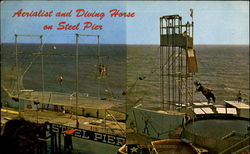 Aerialist And Diving Horse On Steel Pier Postcard