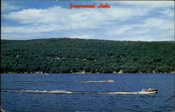 Greenwood Lake Postcard