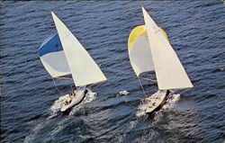 Aerial View Of America's Cup Yachts Postcard