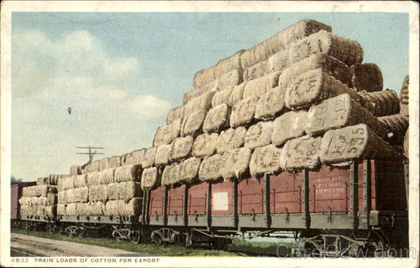 Train Loads Of Cotton For Export Trains, Railroad