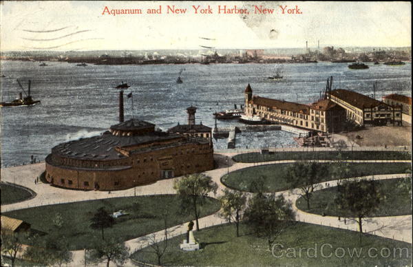 Aquanum And New York Harbor