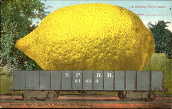 I'M Sending You A Lemon Postcard