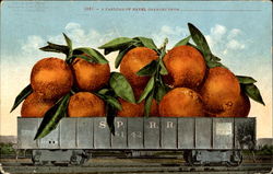 A Carload Of Navel Oranges Exaggeration Postcard Postcard