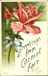 Greetings From Carmel Fair New York Postcard Postcard