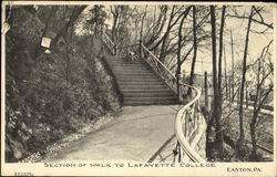 Section Of Walk To Lafayette College Easton, PA Postcard Postcard