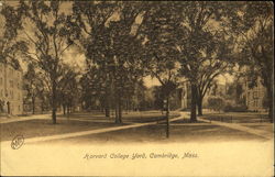 Harvard College Yard Cambridge, MA Postcard Postcard