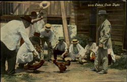 Cuban Cock Fight Postcard