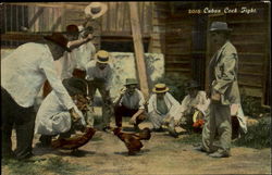 Cuban Cock Fight Postcard Postcard