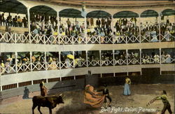 Bull Fight Colon, Panama Postcard Postcard