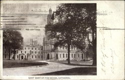 Saint Mary Of The Woods Cathedral Postcard