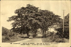 Gosier Road Postcard