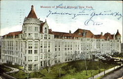 Museum Of Natural History Postcard
