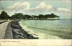 Seaside Park Postcard