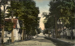 Locust Avenue Postcard