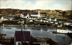 Brigus Conception Bay Postcard