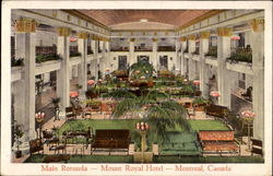 Mount Royal Hotel Postcard