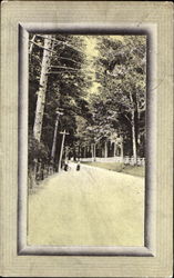 Bushville Postcard
