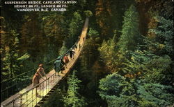 Suspension Bridge Postcard