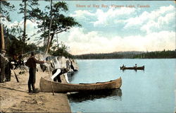 Shore Of Hay Bay Postcard