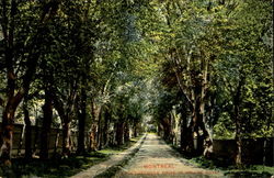 Stock #161463 Thumbnail