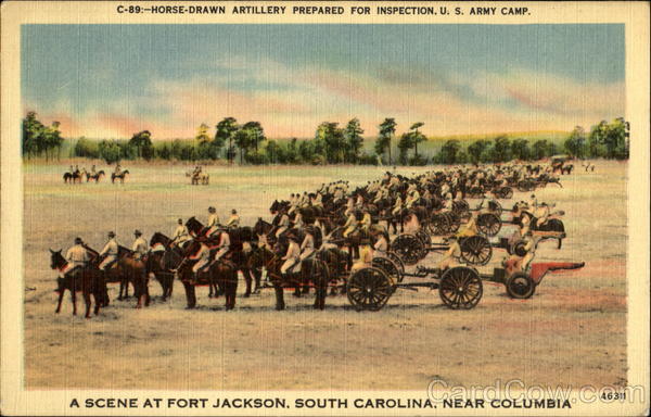 Horse Drawn Artillery Prepared For Inspection, U. S. Army Camp Columbia South Carolina