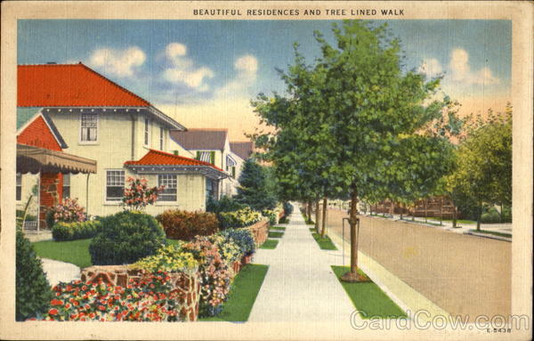 Beautiful Residences And Tree Lined Walk Scenic