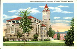 Natural History Museum, University of Kansas Lawrence, KS Postcard Postcard