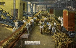 Unloading Bananas New Orleans, LA Postcard Postcard