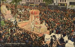 Crowds Viewing Rex Parade Postcard