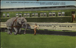Elephant Setting Freight Cat At Ringling Bros. & Barnum & Bailey Circus, Winter Quarters Sarasota, FL Postcard Postcard