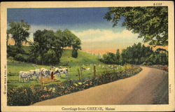 Greetings From Greene Maine Postcard Postcard