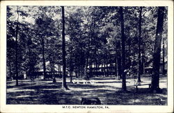 M. T. C. Newton Hamilton Pennsylvania Postcard Postcard