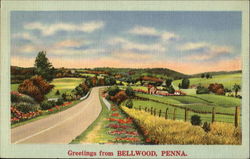 Greetings From Bellwood Pennsylvania Postcard Postcard