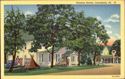 Business Section Canadensis, PA Postcard Postcard