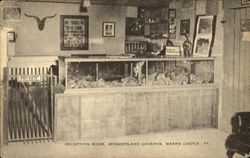 Reception Room, Wonderland Caverns Postcard