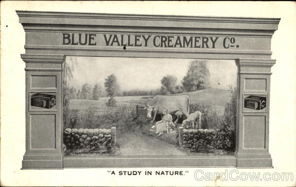Blue Valley Creamery Co.,, 700-704 S. Clinton St. Chicago Illinois