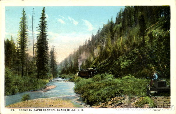 Scene In Rapid Canyon Black Hills South Dakota