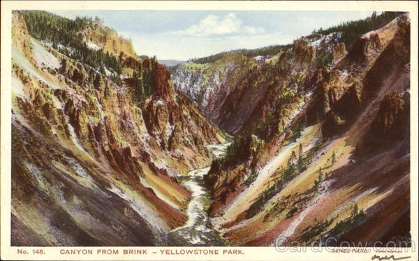 Canyon From Brink Yellowstone National Park