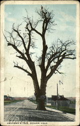 Stock #162248 Thumbnail