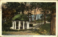 The White Sulphur Spring Postcard