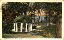 The White Sulphur Spring White Sulphur Springs, WV Postcard Postcard